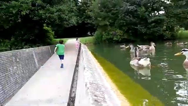 Парк, Австрия смотреть онлайн