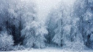 Футаж. Зимний пейзаж 65