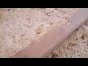 Утеплил потолок глиной и опилками 2 года назад. Смотрю что стало с потолком!