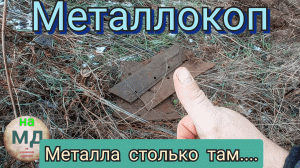 МЕТАЛЛОКОП| металл в доль полей