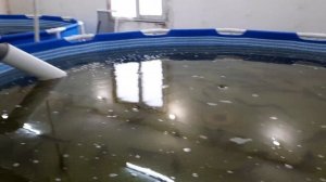 разведение осетра в узв, ошибки допущенные при установке узв