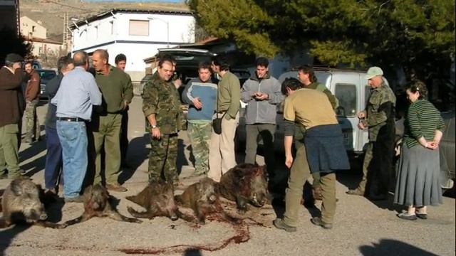 BATIDA DE JABALIES EN MONTÓN- 27-01-2008 смотреть онлайн