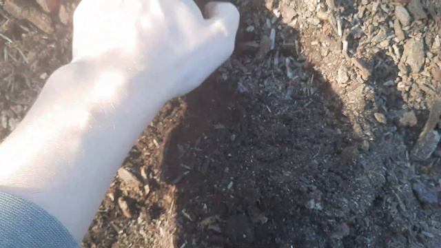 Мульча в Самаре. Купить с доставкой. Рудудар смотреть онлайн