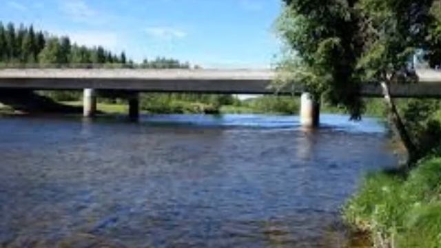 Ода хариусу смотреть онлайн