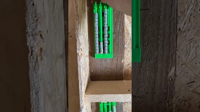 Пермские гривуны подготовка к племенному сезону .