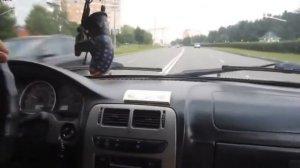 что может great wall safe