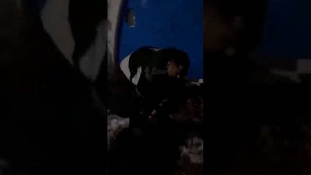 Беспорядки в Казахстане (Алматы) смотреть онлайн