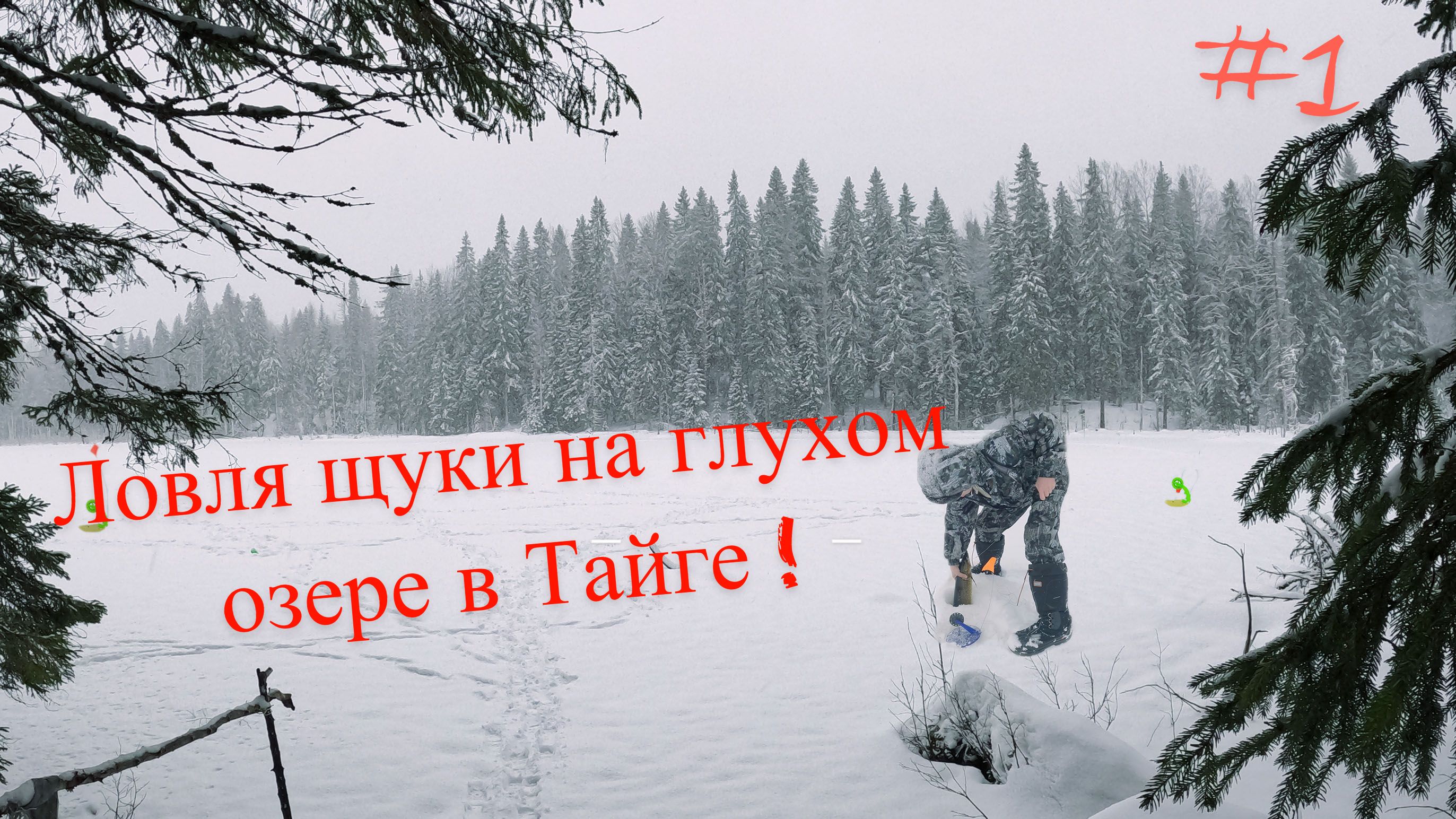 Рыбалка на ЖЕРЛИЦЫ в Таежной Глуши QHD #1