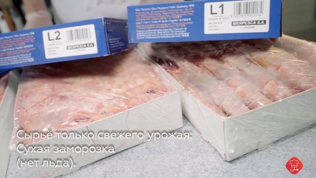 Любимцы на Камеру