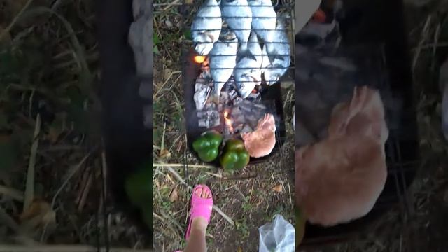 Как жарить рыбу на костре смотреть онлайн