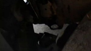 Замена лампочки в противотуманке Chevrolet Spark, Ravon R2