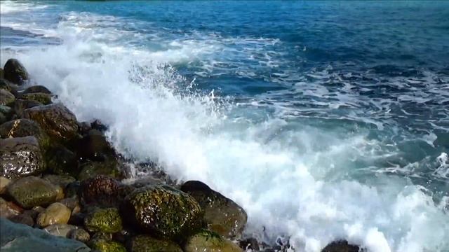 Море сегодня чистое и красивое 31.01.2022 / Ялта LIVE Крым