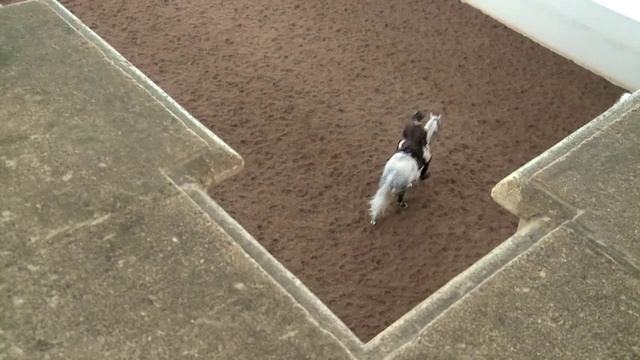 Spanische Hofreitschule Wien (c) Wien Tourismus смотреть онлайн