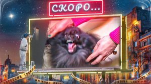 СКОРО(Неуступчивый Шпиц)