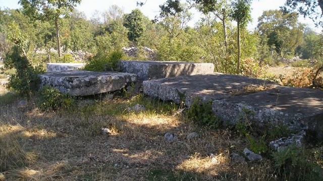 ne odustajem.wmv смотреть онлайн