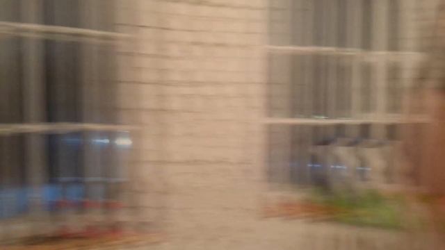 Санкт-Петербург / Фотосессия участниц МИСС СТАРШЕКЛАССНИЦА 2016