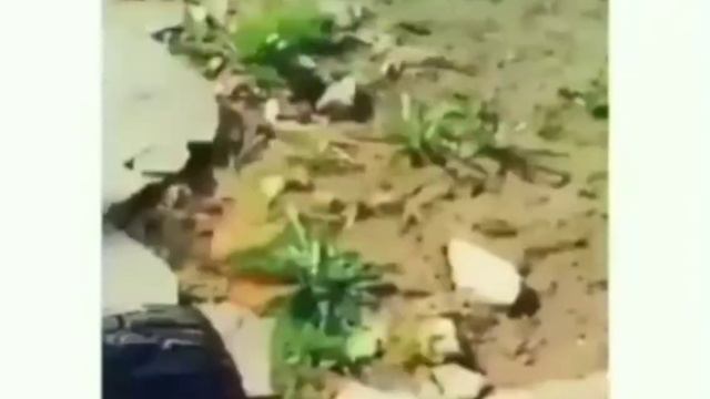 Когда занят важным делом смотреть онлайн