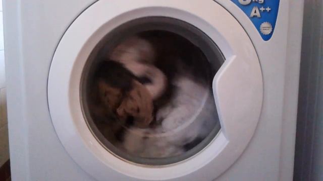 Indesit IWSC61062: cotone 40° Eco Time cadenza energica смотреть онлайн
