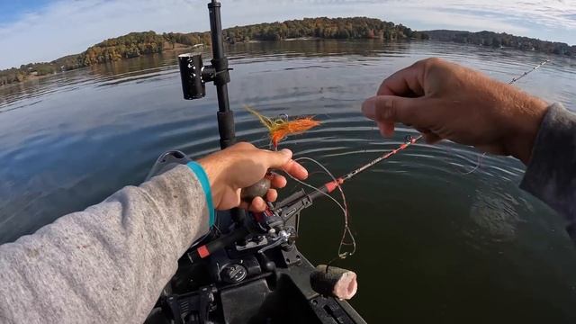 Baiting for Fall Catfish смотреть онлайн