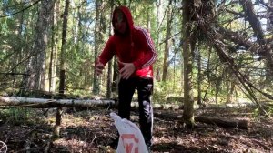 СБОР ОСЕННИХ ОПЯТ / ВОТ ЭТО ОПЯТА!