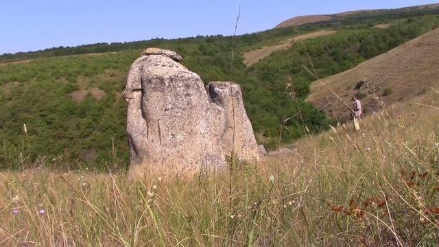18_07_2020_Александровский р_он,Ставропольский край (1).mp4 смотреть онлайн