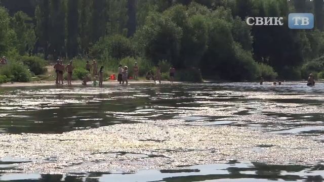 Водохранилище.Пощечина архитекторам Воронежа смотреть онлайн