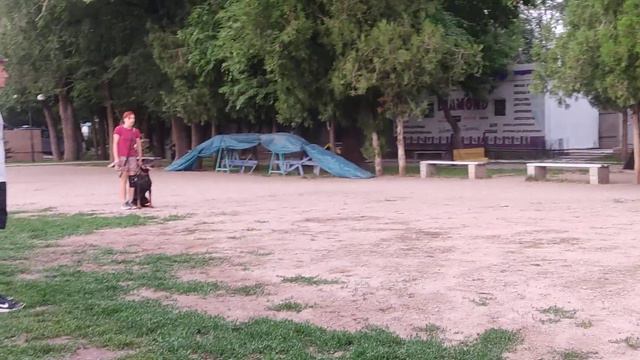 Ванесса, тренинг 11.06.22 с Олегом Рымаревым смотреть онлайн