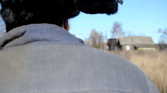 Дима Баруздин "2 Просмотра было на Ютубе" смотреть онлайн