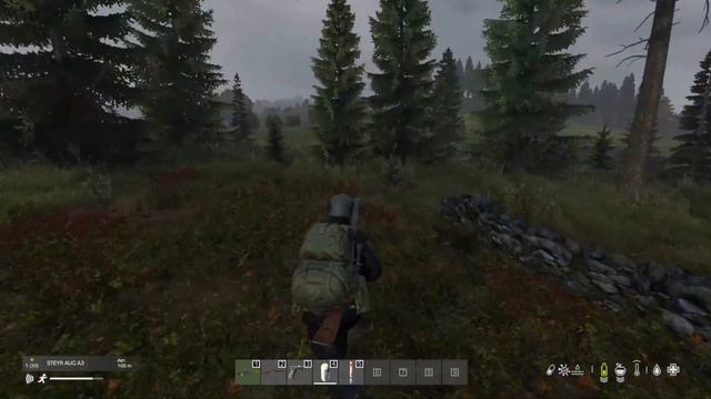 Полуодиночное выживание среди клановых бойцов в DAYZ