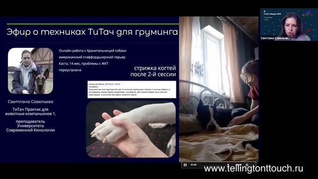 Эфир про техники ТиТач для груминга, ноябрь 2021 смотреть онлайн