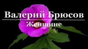 Валерий Брюсов - Женщине