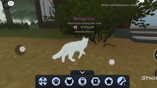 КОТЫ ВОИТЕЛИ РОБЛОКС ВЕРНУЛИСЬ❤️ смотреть онлайн