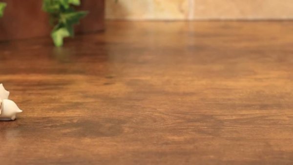 Dinosaurs Transformation Tyrannosaurus & Dinosaurs Bones model kits