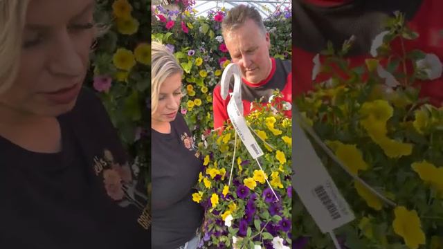 Today’s Top 5 Plants, May 21 смотреть онлайн