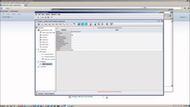 Pentaho Tutorial Build a beginner analytical model смотреть онлайн