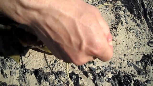 Сом на спиннинг на реке Амур. Воспоминания 2010 г. смотреть онлайн