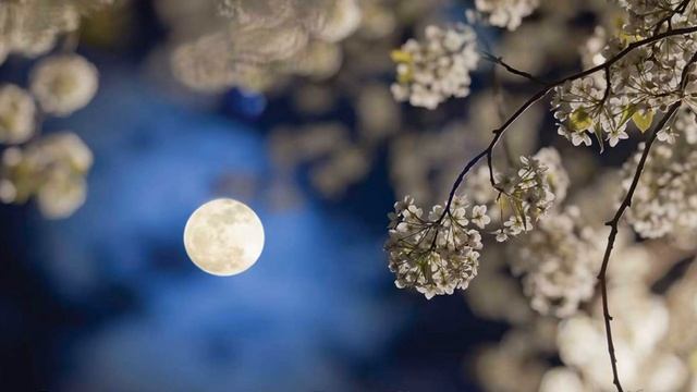 В саду склонился Божий Сын В борении молясь Отцу- Христианская песня до слёз смотреть онлайн