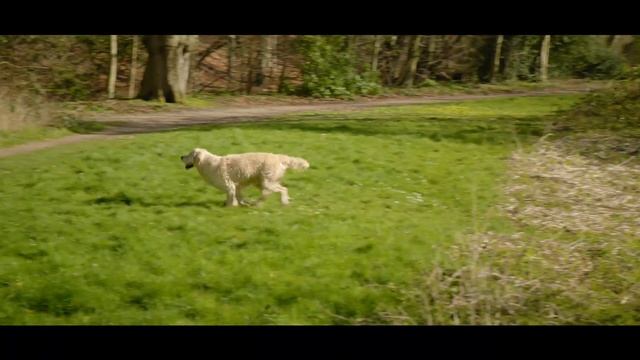 Panasonic G90/95 | V-Log-L Test Footage 4K | Handheld смотреть онлайн