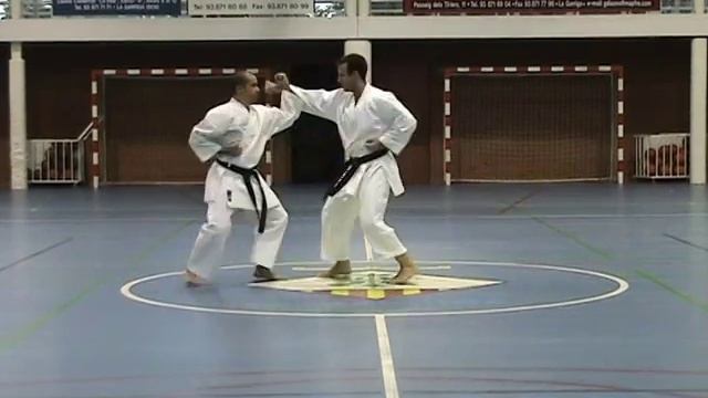 Bunkai Kumite Pinan Sandan Shito-ryu Karate-Do