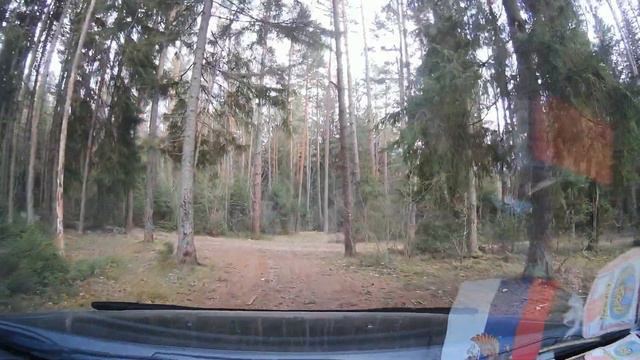 Большая компания в лесу Телеши заняла нашу полянку. смотреть онлайн