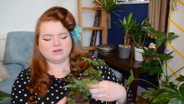 HOUSEPLANT HAUL | March 2019 UK | Miss Bird смотреть онлайн