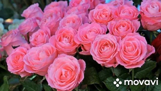 #Добрый вечер друзья!# смотреть онлайн