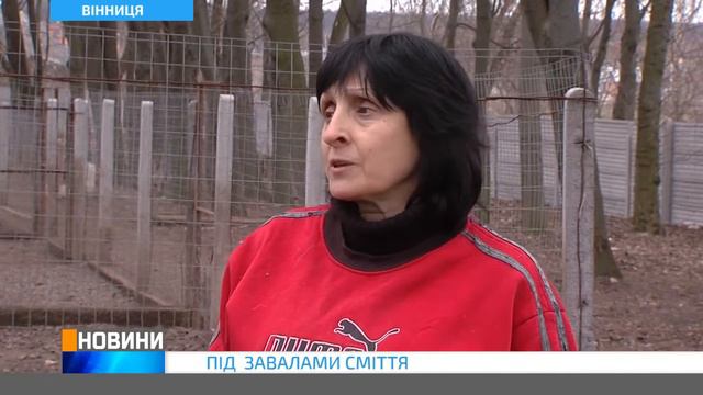 Цуценят ледь не поховали заживо смотреть онлайн