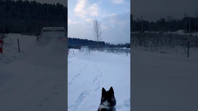 Genesis GV70 смотреть онлайн