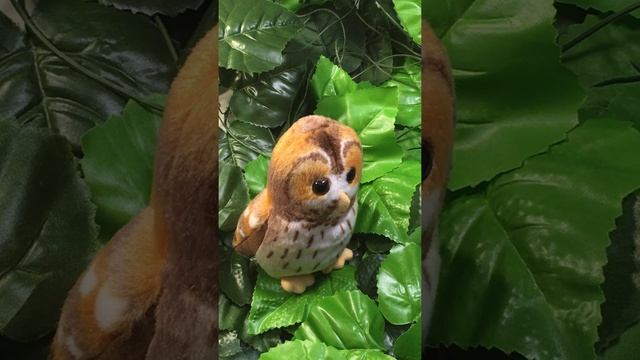 Птицы озвученные Сова Неясыть WILD REPUBLIC смотреть онлайн