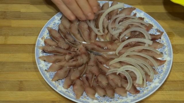 Наука о Животных и их Поведение