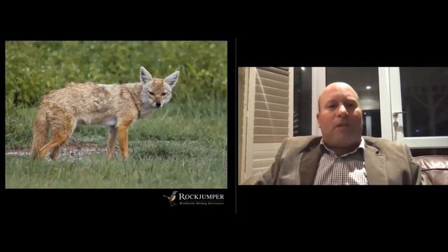 Webinar: Tanzania by Adam Riley смотреть онлайн