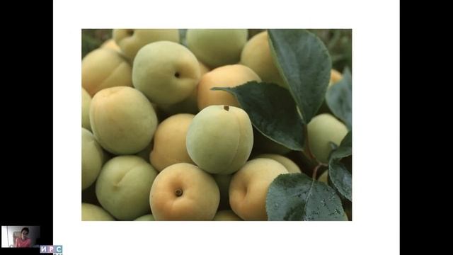 6 урок. Введение в ЦВЕТ смотреть онлайн