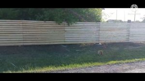 забор из обработанного горбыля своими руками.