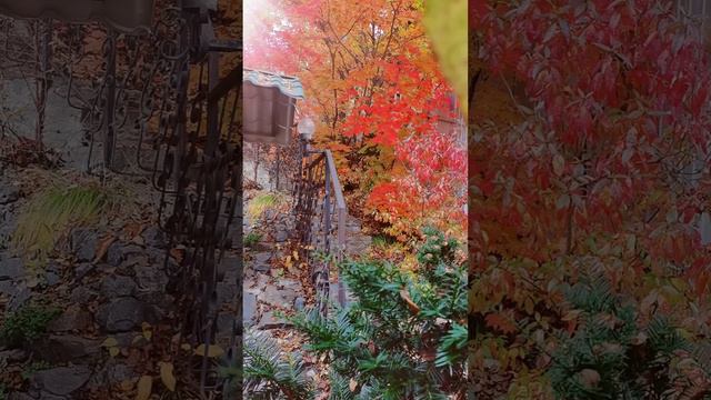 Дивия Волны🧭 о наставниках, пути, процессах, очищении хоопонопоно и немного обо мне:)